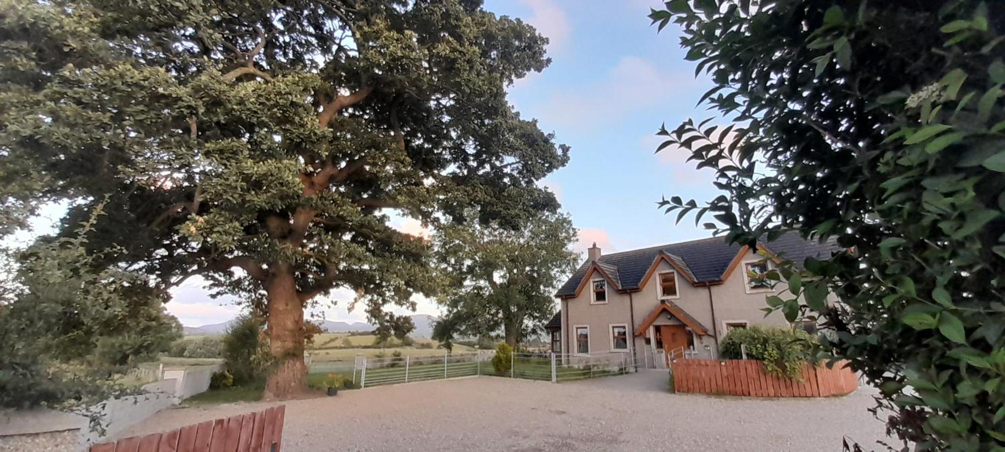 Oaktree Manor Villa Castlewellan Exterior photo