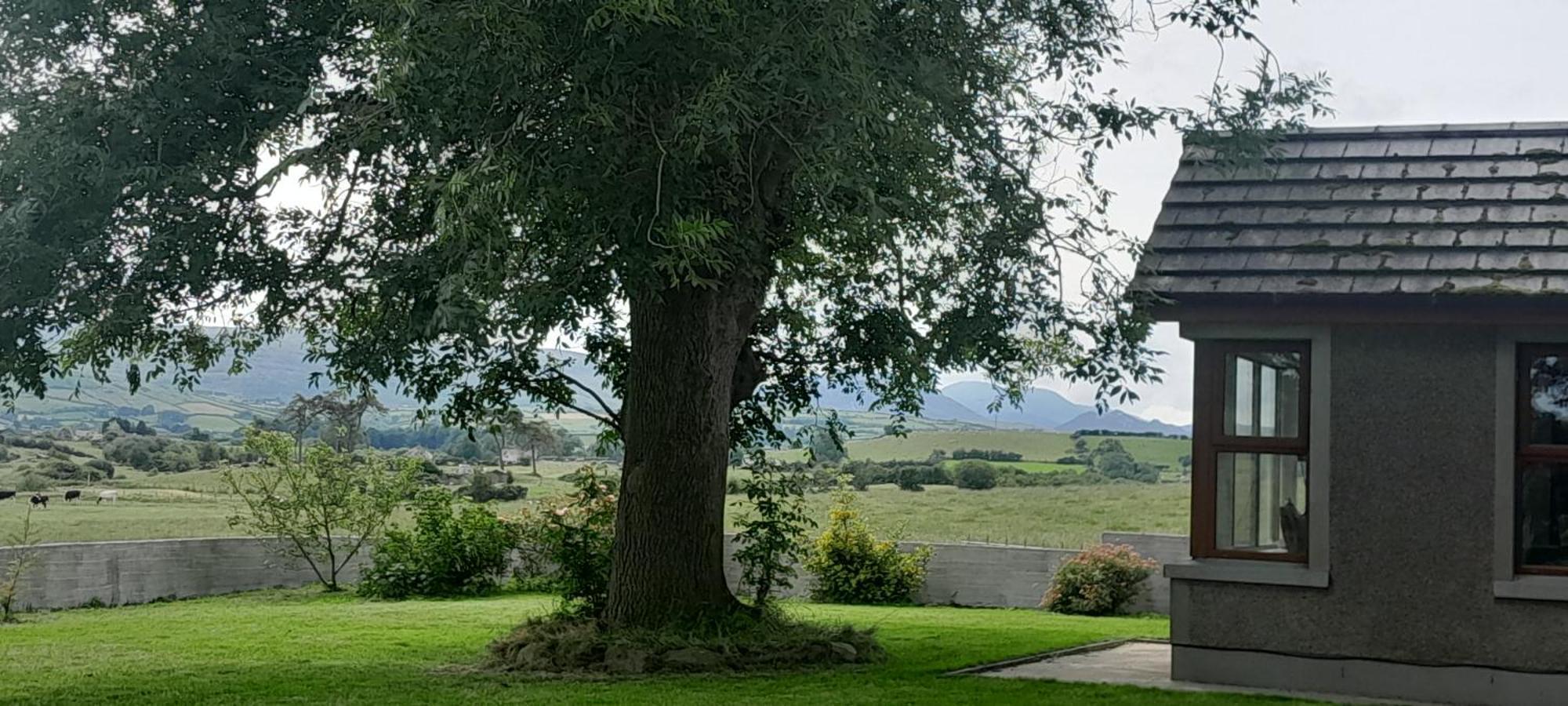 Oaktree Manor Villa Castlewellan Exterior photo